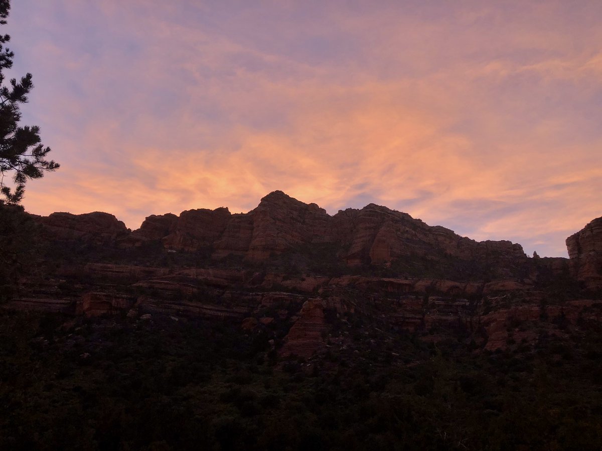 Gina Czark tweet media