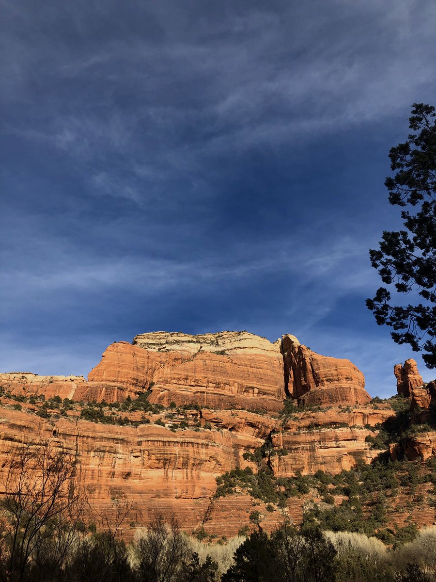 Gina Czark tweet media