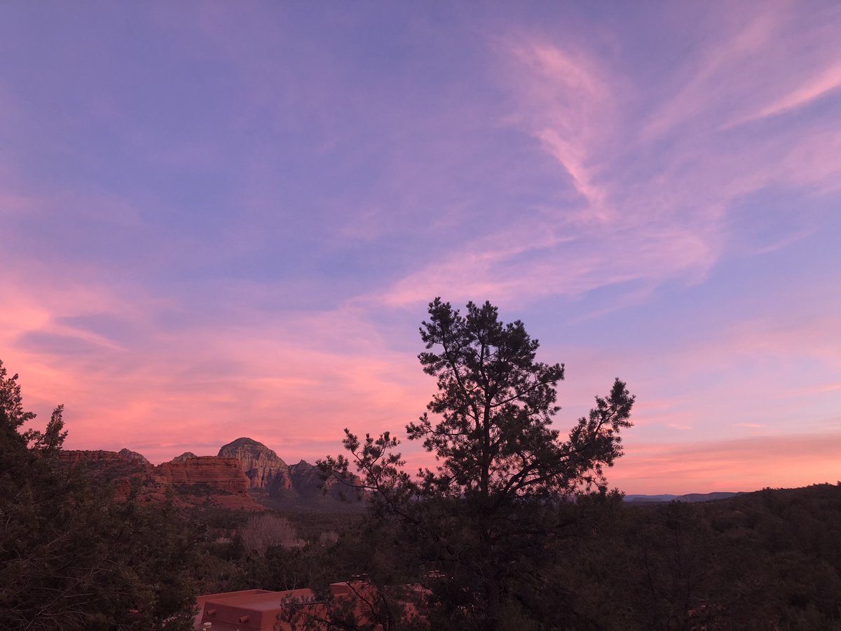 Gina Czark tweet media