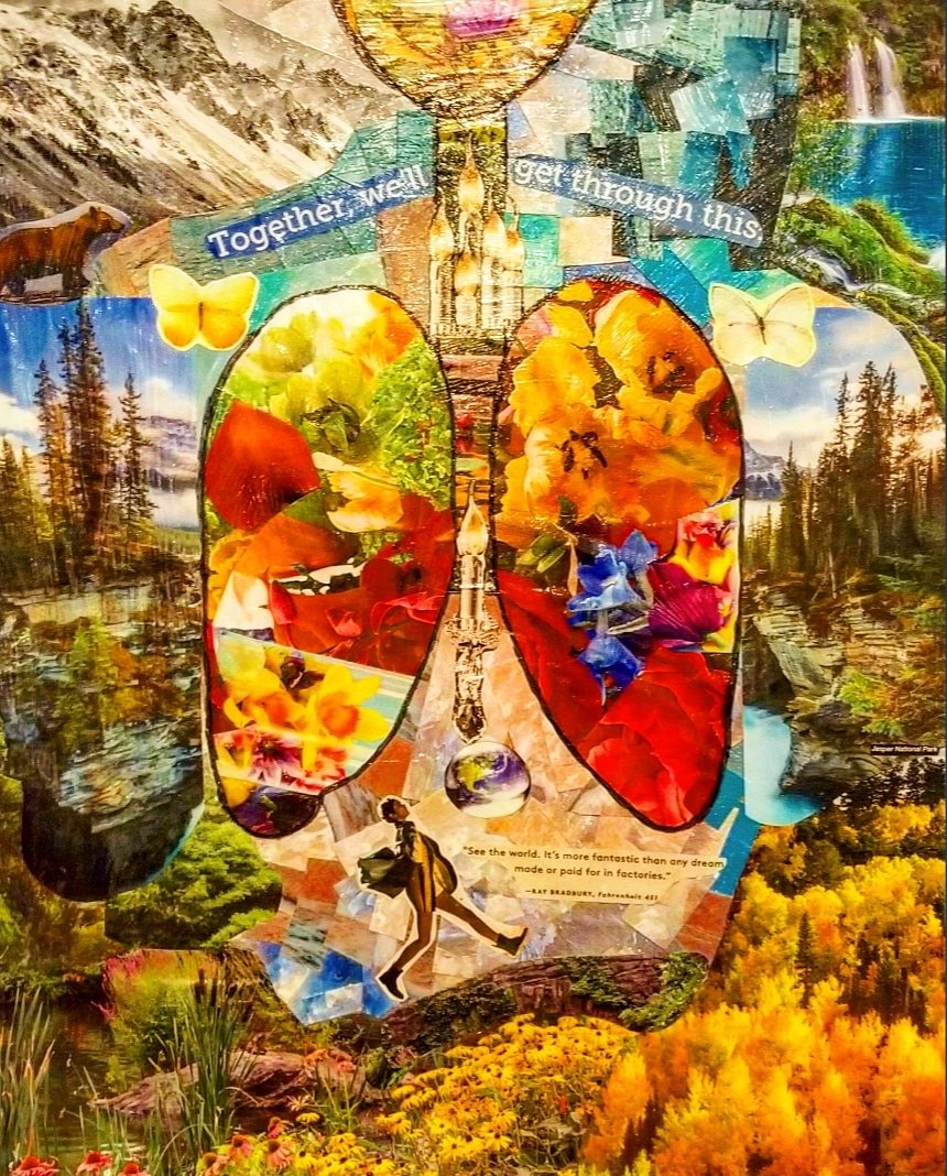 christanyc's tweet photo. @shedd_aquarium My collage Breathe In the Roses, Blow Out the Candles features a Grizzly, butterflies, and a human to show we're all connected. The survival of other species is intricately linked to ours. #ActWithShedd #EarthMonthIn https://t.co/8ydRnbtLPK