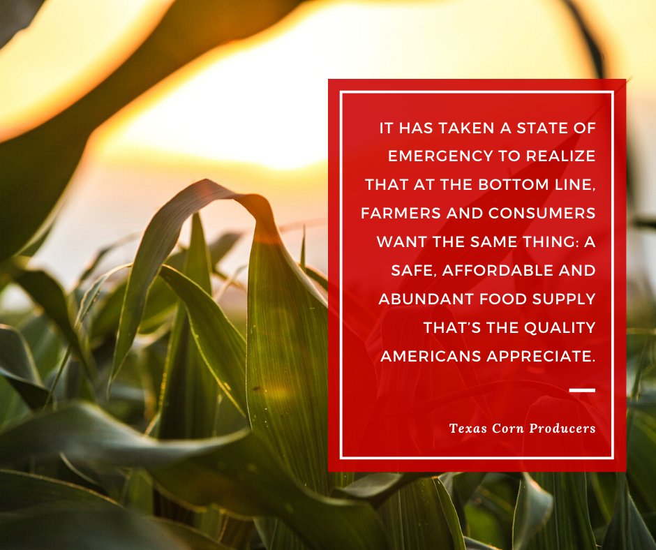 TechAgEdAgComm's tweet image. Happy Wednesday, we love our agriculturalists AND we're another day closer to the end of the semester! Get excited!
