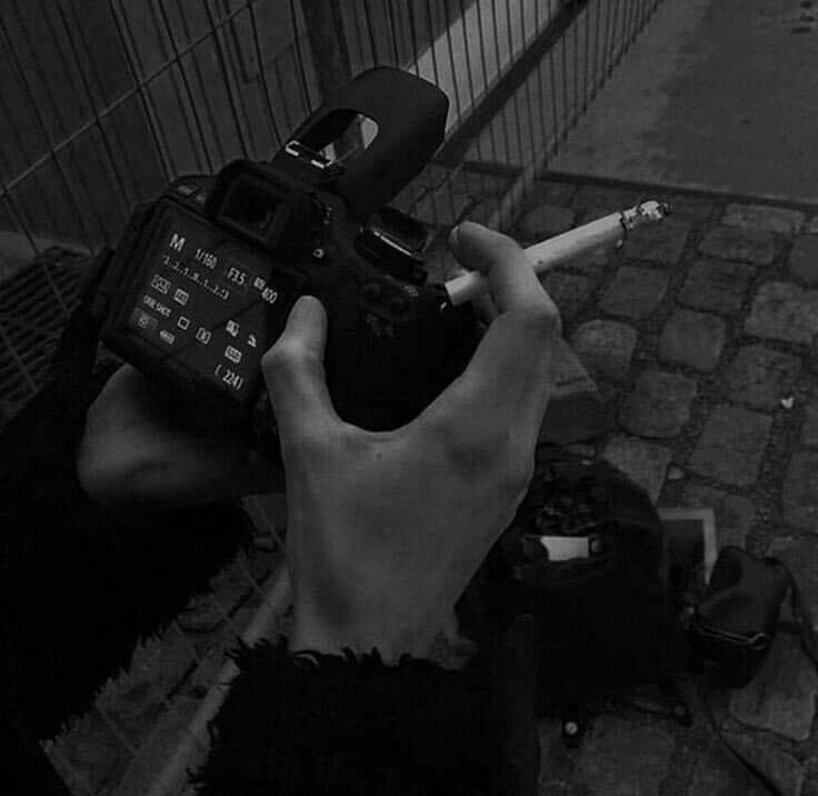 ✕ ⫸━ к є и ━⫷ ✕ tweet media