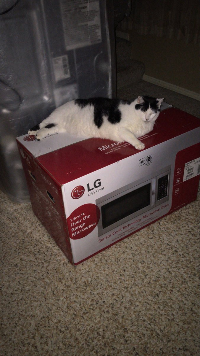 ChanceJGeorge's tweet photo. So my parents are redoing their kitchen and ordered a new dish washer, refrigerator and microwave. Naturally my cat is taking advantage of the new boxes. https://t.co/1attQE5IWv