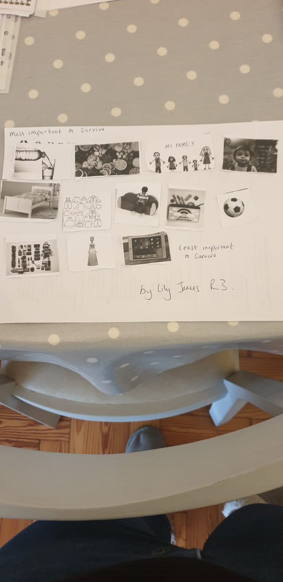 Steven_James's tweet photo. Ordering what is most important for survival from most important to least important by Lily James R3. @RhiwbeinaPrm https://t.co/gOcRHWQq4f