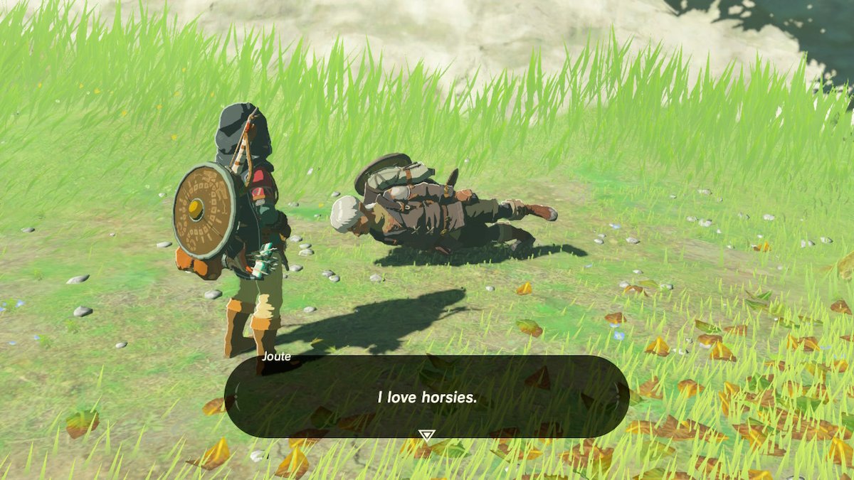 RamlethalFeet's tweet image. #BreathoftheWild #NintendoSwitch