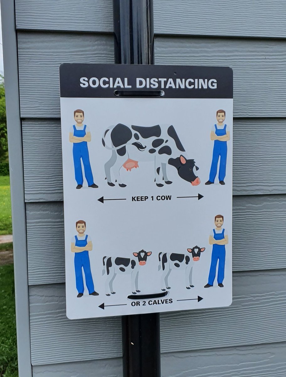 Wyefarm's tweet photo. A local dairy farmer to us has just opened this Milk Shed. The milk is delicious &amp; the machine is simple to use. The absolute highlight however is their signage for social distancing!
https://t.co/iRFzN4HtVM https://t.co/VmTyRsbalf