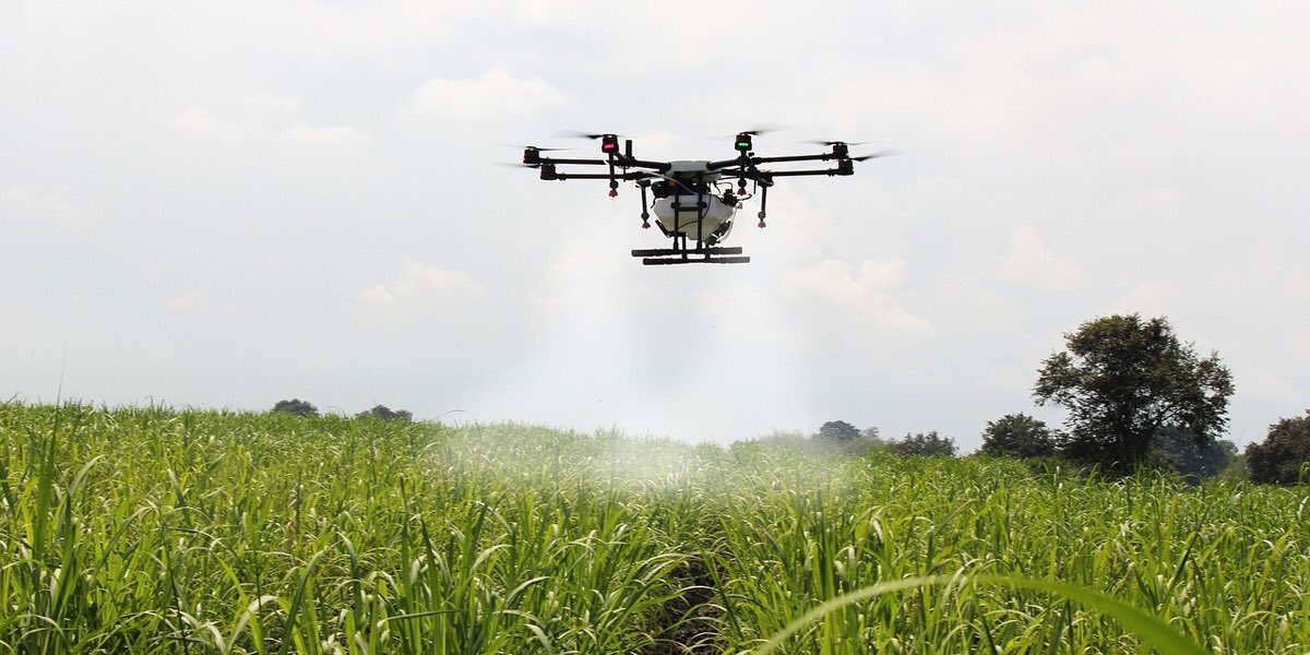 DigitalAgriUCO's tweet photo. 🗣‘Impulso 5G en Andalucía’, el reto tecnológico aplicado al sector agrícola andaluz 🌾📶🛸https://t.co/W6OYy8XU17 https://t.co/eoR3hmYeM3