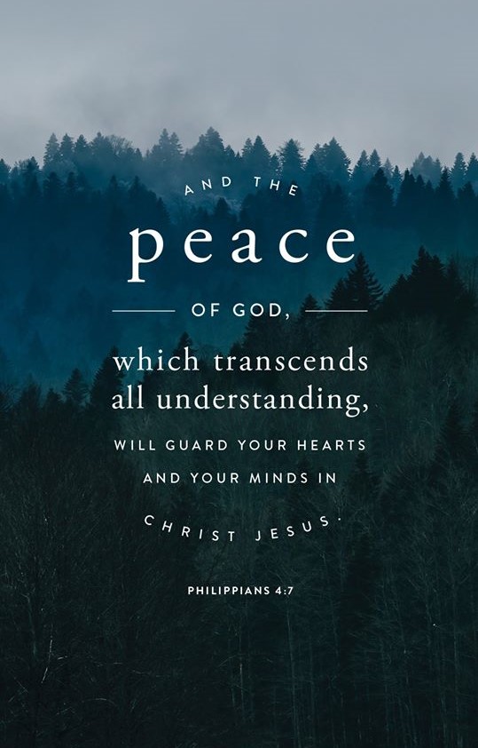GabrielNetwork's tweet photo. "And the peace of God which transcends all understanding will guard your hearts and your minds in Christ Jesus." Philippians 4:7 #wordwednesday https://t.co/gwX8Co5WZu