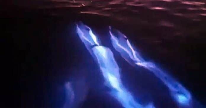 B seeing U ! tweet media