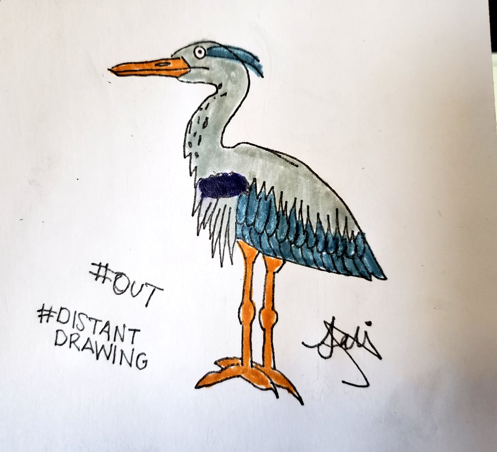 actuallynotsali's tweet photo. Today while I was #out on a walk with a friend I saw a Blue Heron. It was cool. Also, I've come to the conclusion that going out for walks is the new "let's get coffee" & I'm a-okay with this new development.
#DistantDrawing ๐ฆ https://t.co/MF0kK97nv0