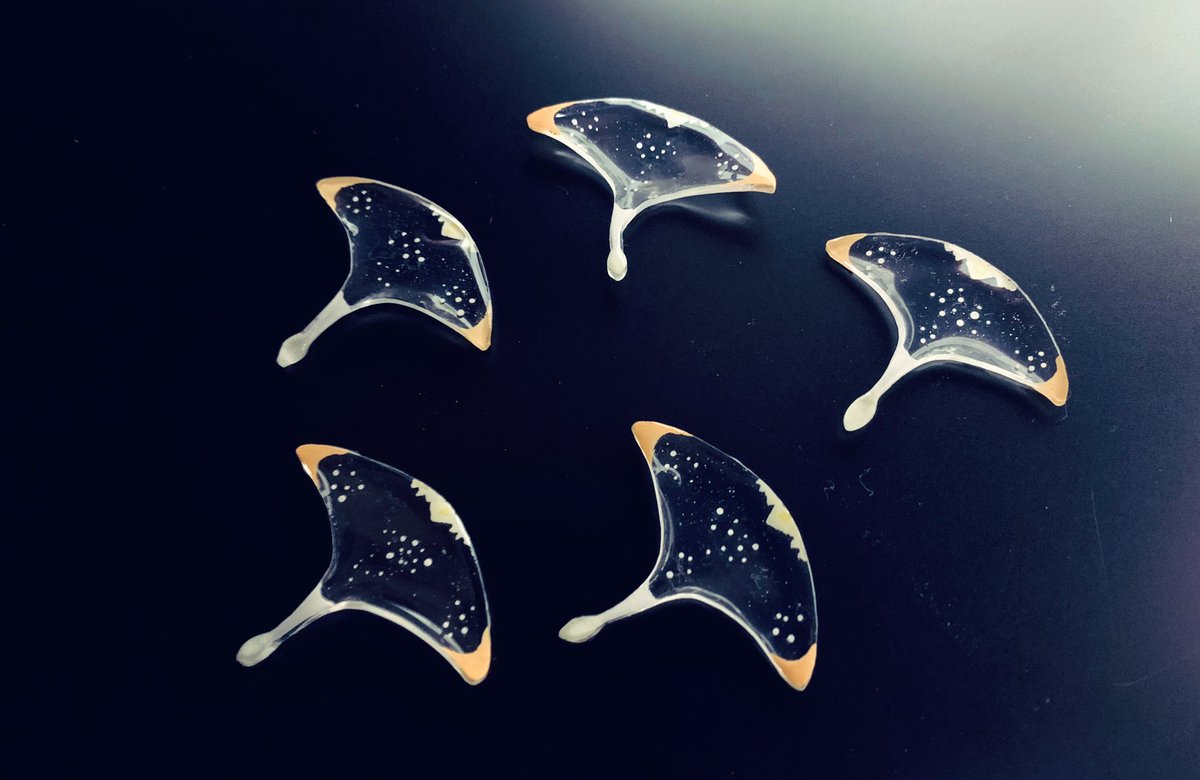 Sky Children Of The Light Wow Check Out This Beautiful Sky Creation Lettuce 72 Brought The Light Manta From Theskygame To Life Which They Crafted By Hand Using Plastic Resin