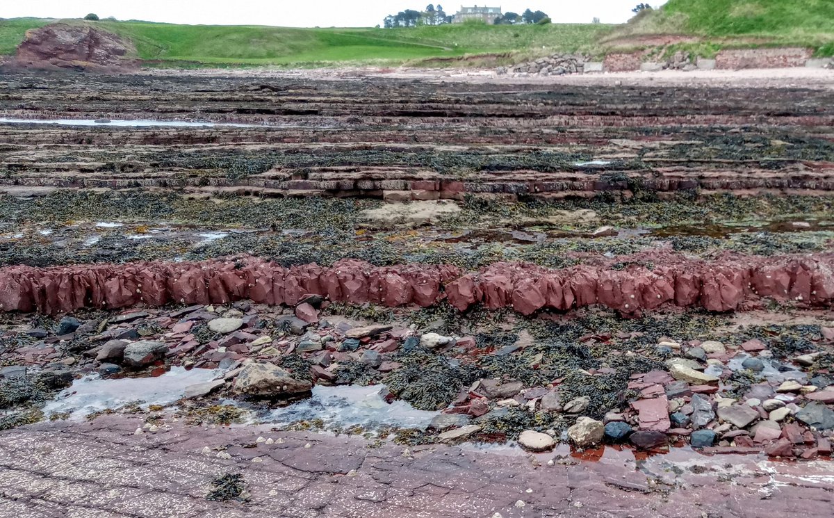 JorvikLass's tweet photo. Poodling around in rockpools on #Belhaven Bay for #40DayChallenge and a spot of #volunteering today. Grey day, but a very happy #volunteer and poodle - so lucky to have this to explore on our doorstep ♥ 🌊 #EastLothian #StayHomeSaveLives #DunbarRocks https://t.co/2iCOFoMi9b