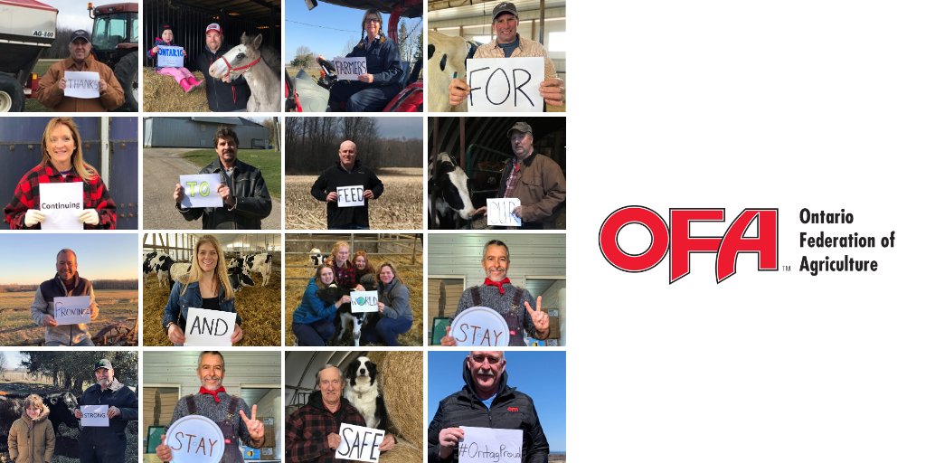 OntarioFarms's tweet photo. OFA and our board of directors would like to express a heartfelt THANK YOU to farm families across the province for their resiliency &amp; strength during these difficult times. Our farmers continue to produce healthy, affordable, high-quality food for Ontario &amp; the world #OntAgProud https://t.co/565UoVebwM