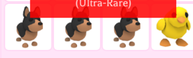 tvvvrt_'s tweet photo. @RobloxGamesZoey all of these pets :) https://t.co/4rVdpp3zZx