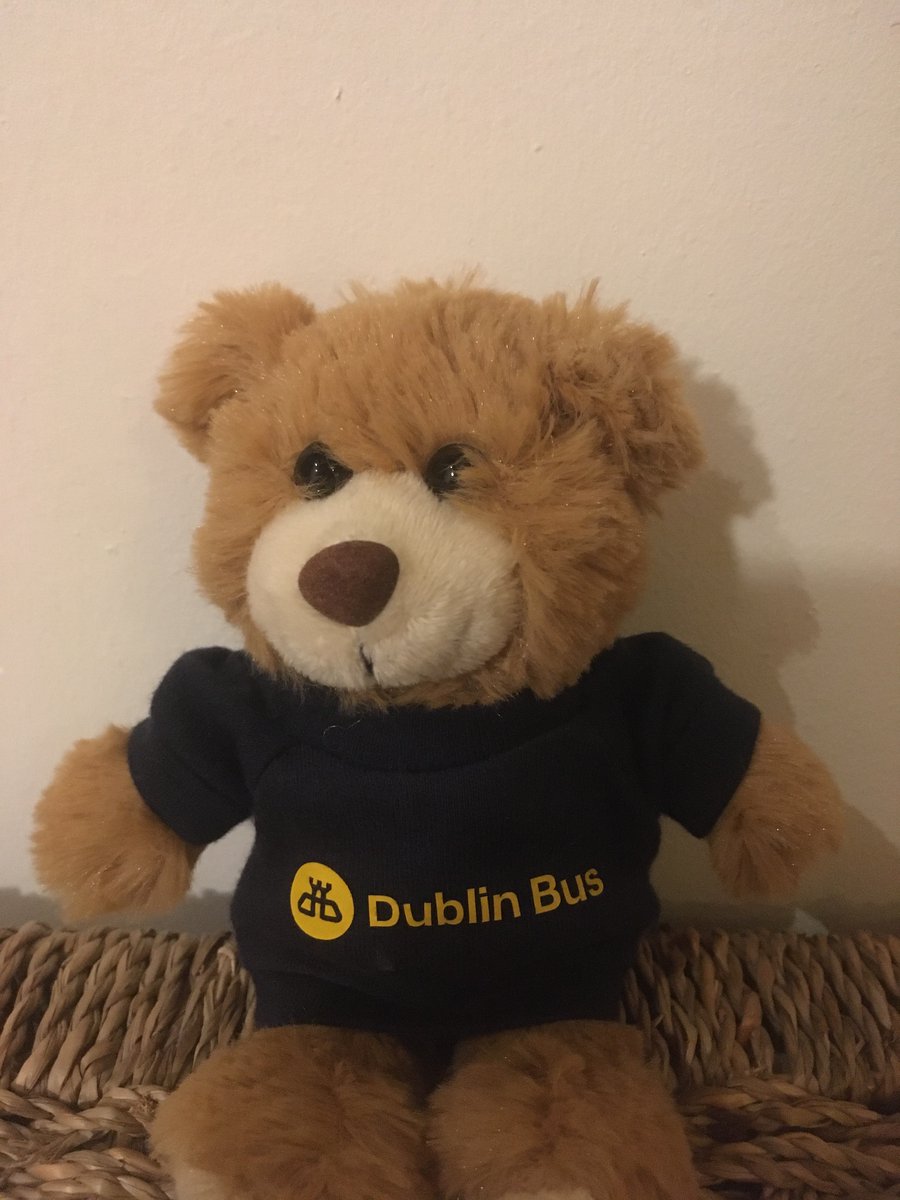 MuireannNiR's tweet image. Day 48 Very exciting delivery of goodies from @dublinbusnews including this guy who has been named ‘Beep Beep’! Go raibh maith agaibh! #KeepingKidsEntertained #Covid19ireland