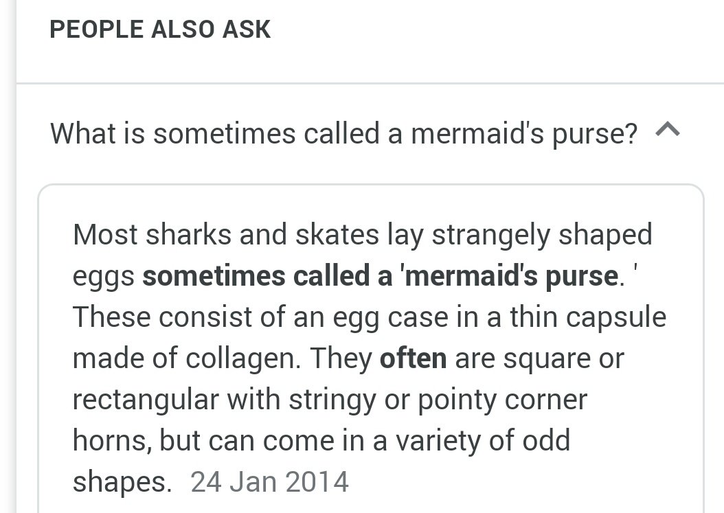 So mermaids purse is another term do egg case. Again. this made sense but not within the contextof the song lyrics of the much loved number 2 debut single ....So, going by the use of the "cobblers thumb" slang I then wondered if this was somehow similar.....