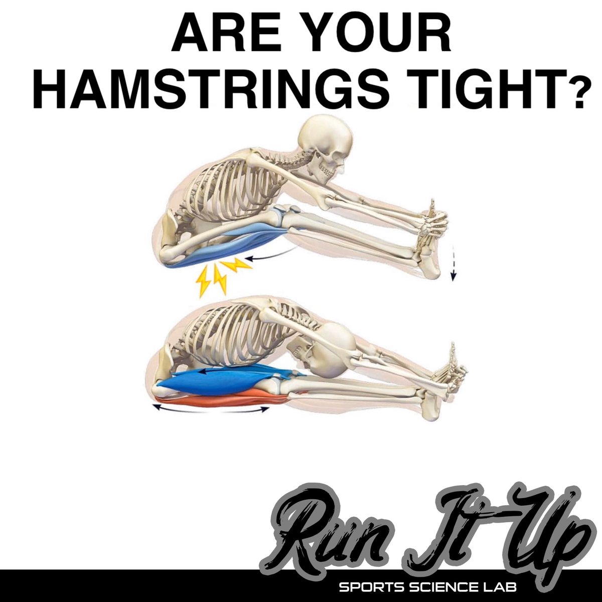 🚨ARE YOUR HAMSTRINGS TIGHT? 🚨 
FOLLOW IG PAGE FOR INFO: @Runitup_Sportsscience_Lab 

#Runitup #rehabilitation #postrehab #sportsnutritionspecialist #athletictraining #hamstrings #hamstringstretch