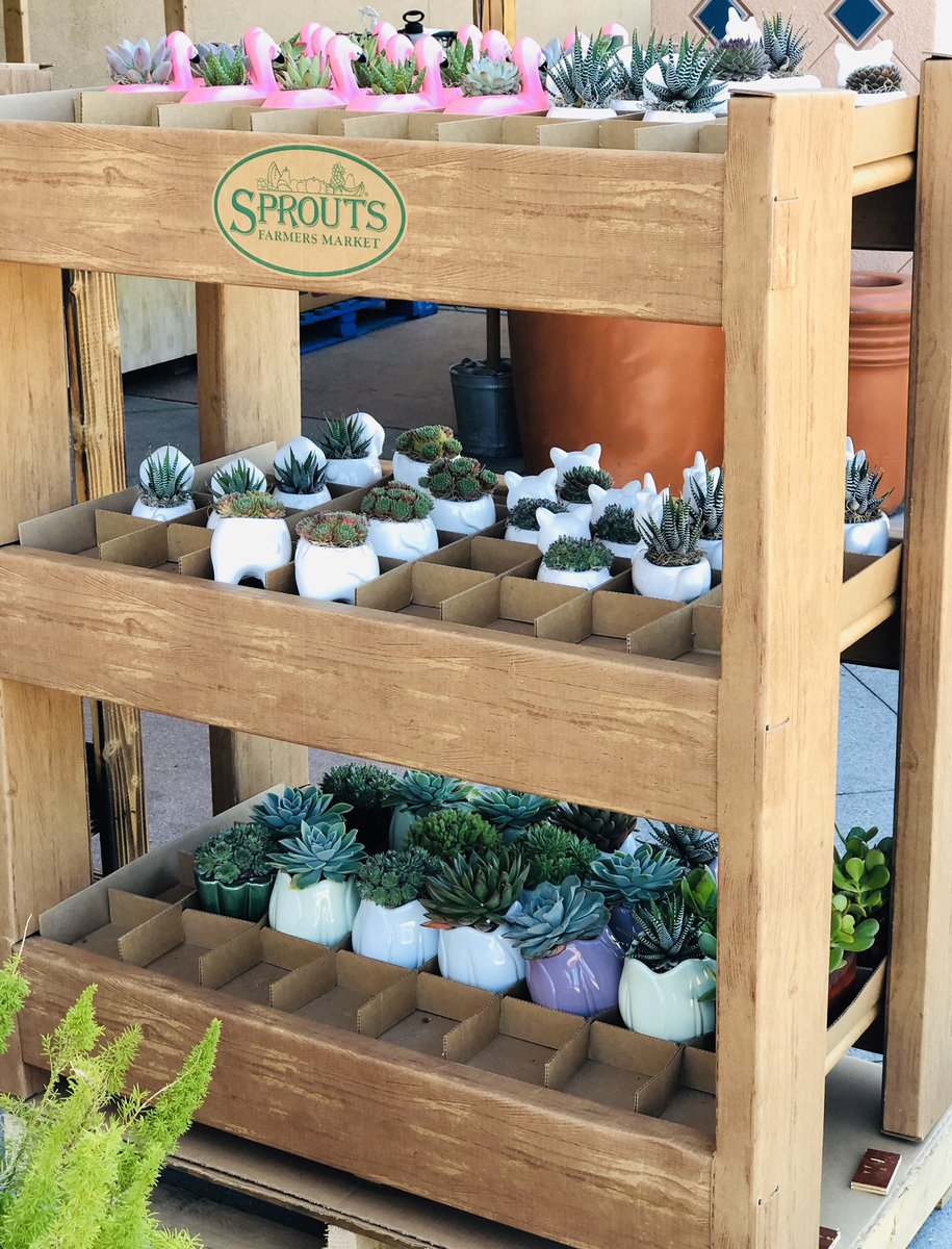 WarrenPackaging's tweet image. Our newest floral rack design is on full display at @sproutsfm today!
•
•
#floral #succulents #greenthumb #sprouts #sproutsfarmersmarket #woodgrain
