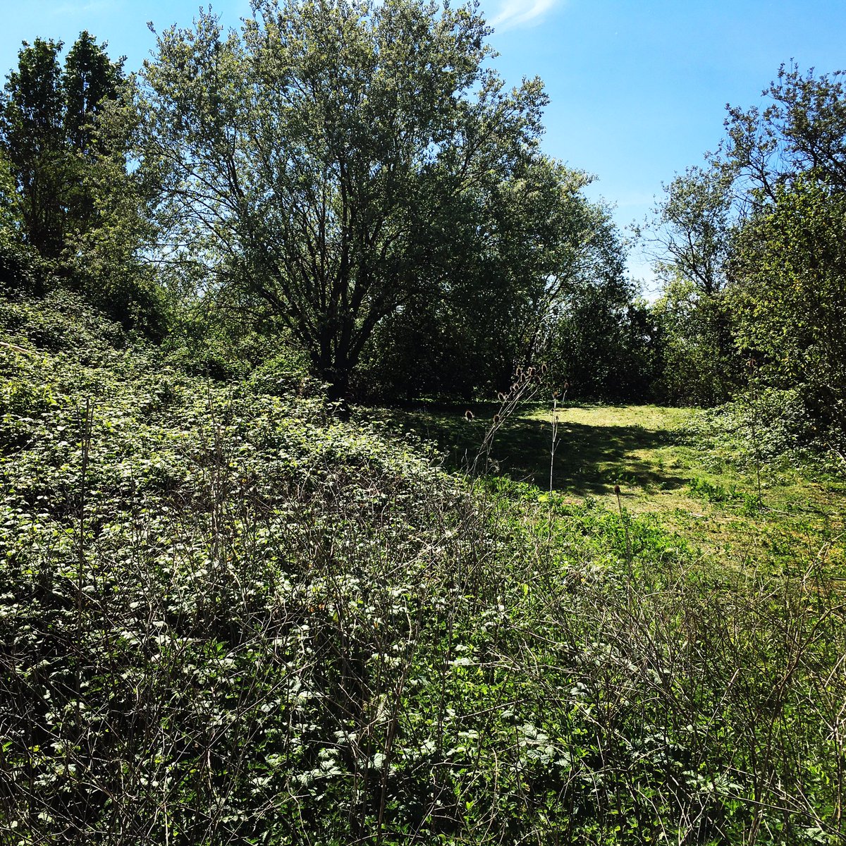 New area taking shape