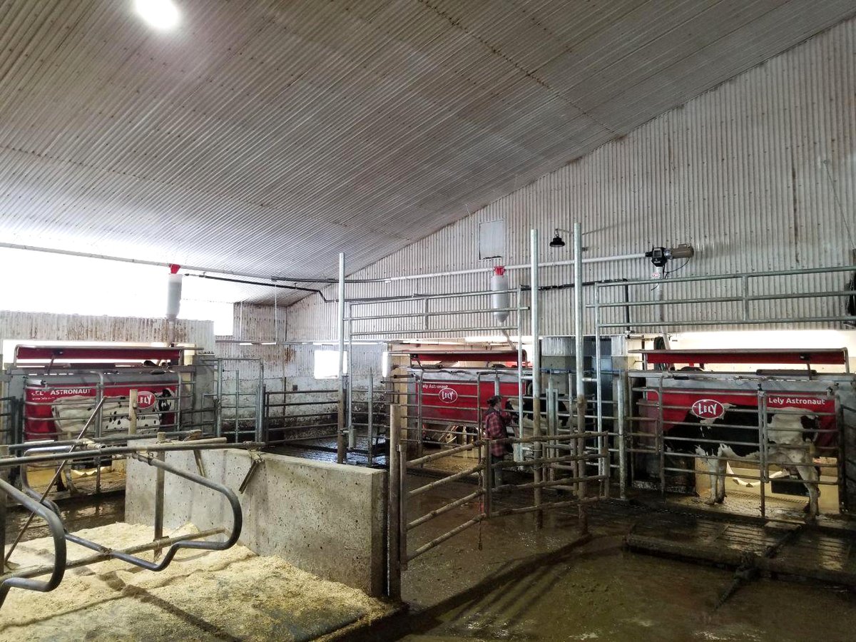 PennerFarm's tweet image. Another smooth startup out in Alberta by the Lacombe team! Bennik Dairy is running 2 #Lely Astronaut A5&apos;s and 1 Lely Astronaut A4. Congratulations to the Bennik family! @DairyRobot #livelifelely #dairyrobot #dairyfarmersofalberta