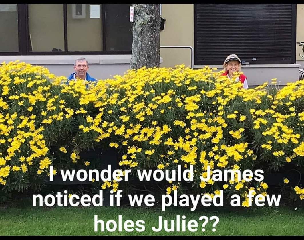 Courtown Golf Club tweet media