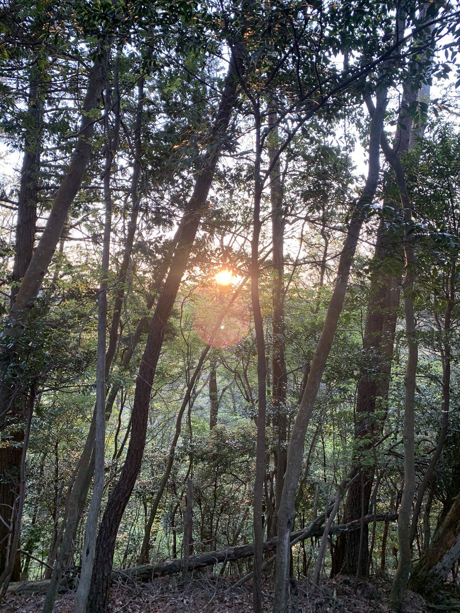 Mhu2M's tweet photo. 早起きをして散歩しながらの朝日最高です。
こんな簡単な事でバイブスがあがる。
自然て最高かよ
コロナのおか���でこんな綺麗な自然がもっと綺麗になる。
そんな綺麗な自然���鏡
感謝しかでないですよね。
もっと自分自身に感謝するべきだと最近思いましたとさ。 https://t.co/PPLkk8a4cO