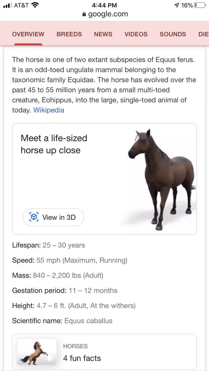 KitchellS's tweet image. Thank you @Ms_Easley for this fun distraction!   Have you seen this trick? Google an animal on your phone then click "View in 3D" to get a new roommate.