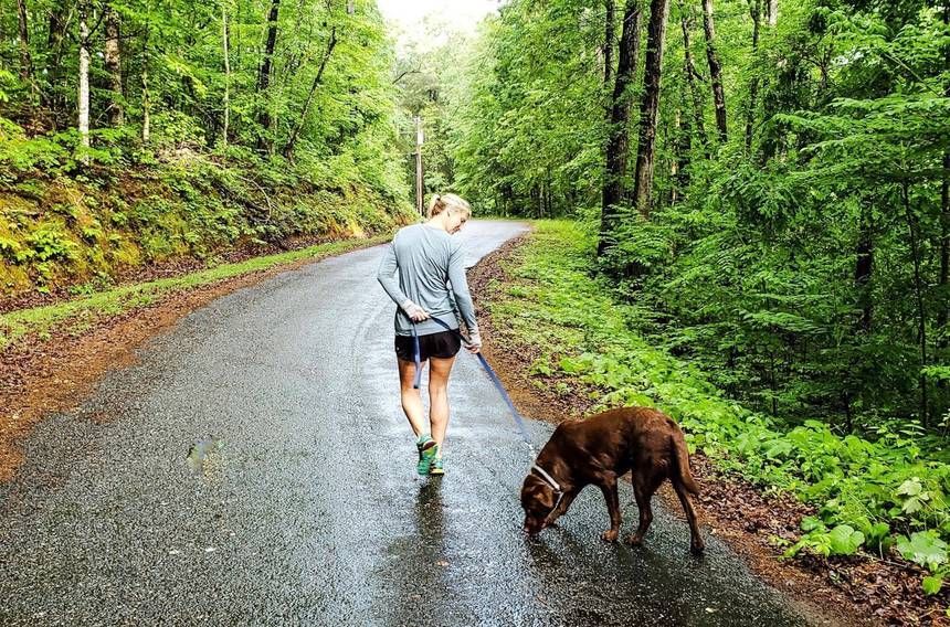 brasonja's tweet photo. People are realizing how badly they need nature https://t.co/fHWdrz1uDf https://t.co/uK8XHCXTUy