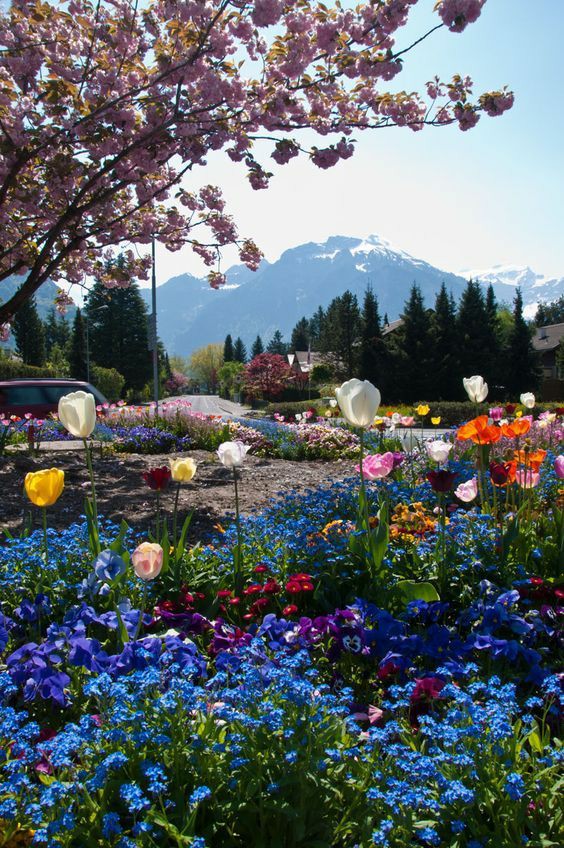 virgyane's tweet photo. @WALLI27 @Rh63th @marinavibu609g @farrukhshah786 @Silviadomi22G @RosaTrunk @sitaravirgo @tadayokun @PetalsTm @otrogoga60 @Chrissyhowell16 @Edward733 @LevykinV @heroldbarton @khanhakim_k @DidiPraveen @PatGrant7777 @nancy_dills @Alexa17101614 @HumbleIndian @vickiemoore07 @monicasloves @ersu1880 @djtroops @RosaNegra_08 @gourley_jason @jet_new @prado_yaiza @ZEYNAZERDA @mr_khaleeque @ivymarina1 @J5rson @TaposKumarBasu @ynfqn318 @veronicamadel @Hirokilove12287 @cristina_lledo @behna31152 @Kasione8 @bovb51 @seaweed115B @Ivatempestade @luzma04042407 🕊️🕊️🌼🌟🌸
🌸🌟🌈🌷🕊️🕊️
#StayHomeStaySafe #beautiful_Friends
#New_day
#new_hope
#PRINCESSE https://t.co/Byu6K84iVu