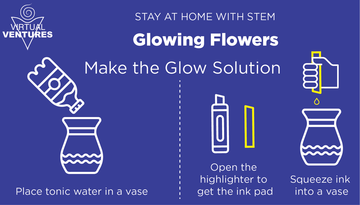 virtualventures's tweet photo. Have you ever wanted to see real flowers glow? Sounds like something magical....We're going to show you how! #StayAtHomeWithSTEM https://t.co/mwTnR0Lxth