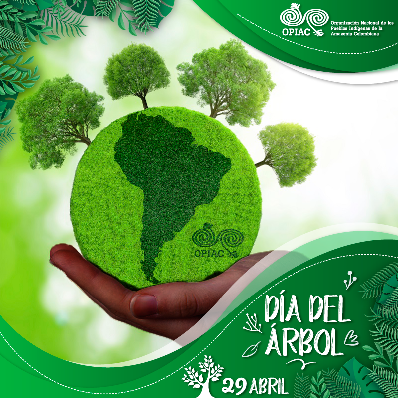 Los árboles, para los PI de la Amazonía, son seres que cumplen una labor fundamental, en la regulación de la lluvias y las enfermedades respiratorias, por eso hacemos un llamado el día de hoy para proteger, preservar, reforestar y restaurar los ecosistemas. #DíaDelÁrbol 🌳