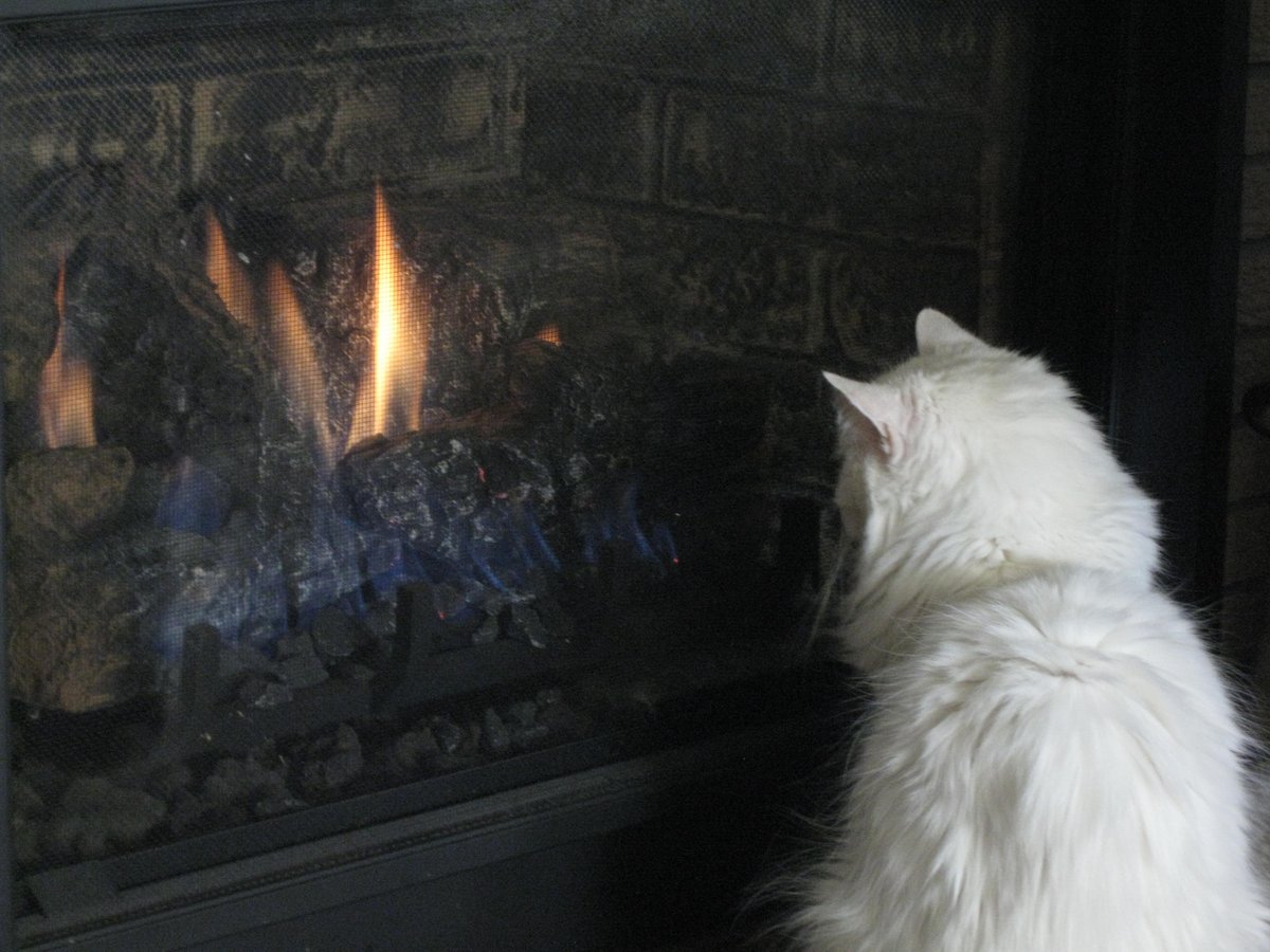 fowlerjp's tweet photo. Was her favorite television program, she watched 'As the Fire Burns' all the time https://t.co/Zarl3gEQRH