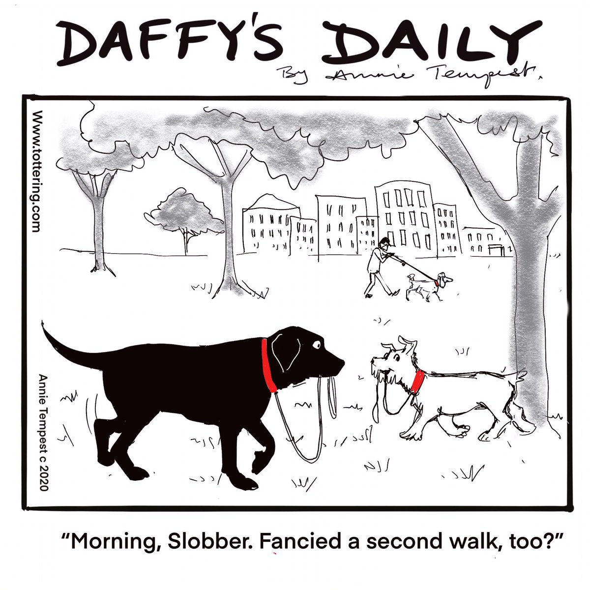 Annie Tempest tweet media