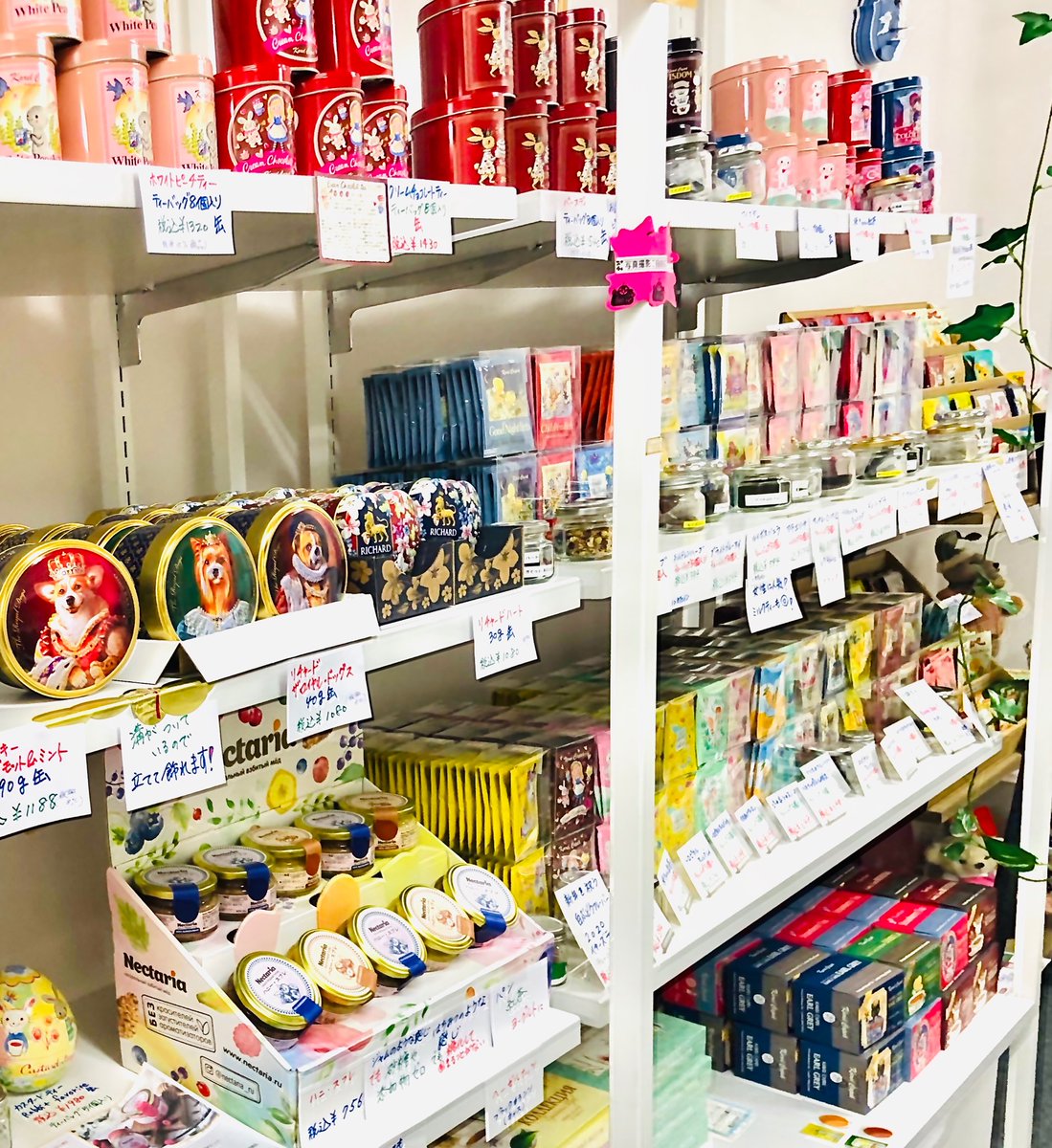 お取り置きやご発送も承っております なんなりとお申し付け下さい 鮮度抜群の紅茶 北海道伊達市の修道院の手作りクッキー 蘭子チャタイム紅茶店 Twitter 04 30 札幌市の食品 スウィーツ お酒 蘭子チャタイム紅茶店 札幌のお店 お取り置きやご発送も承っております なんなりとお申し付け下さい 鮮度抜群の紅茶 北海道伊達市の修道院の手作りクッキー 蘭子チャタイム紅茶店 Twitter 04 30 札幌市の食品 スウィーツ お酒 蘭子チャタイム紅茶店 札幌のお店