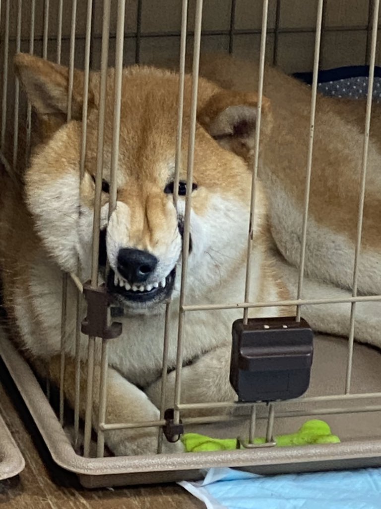 二重人格 二重人格