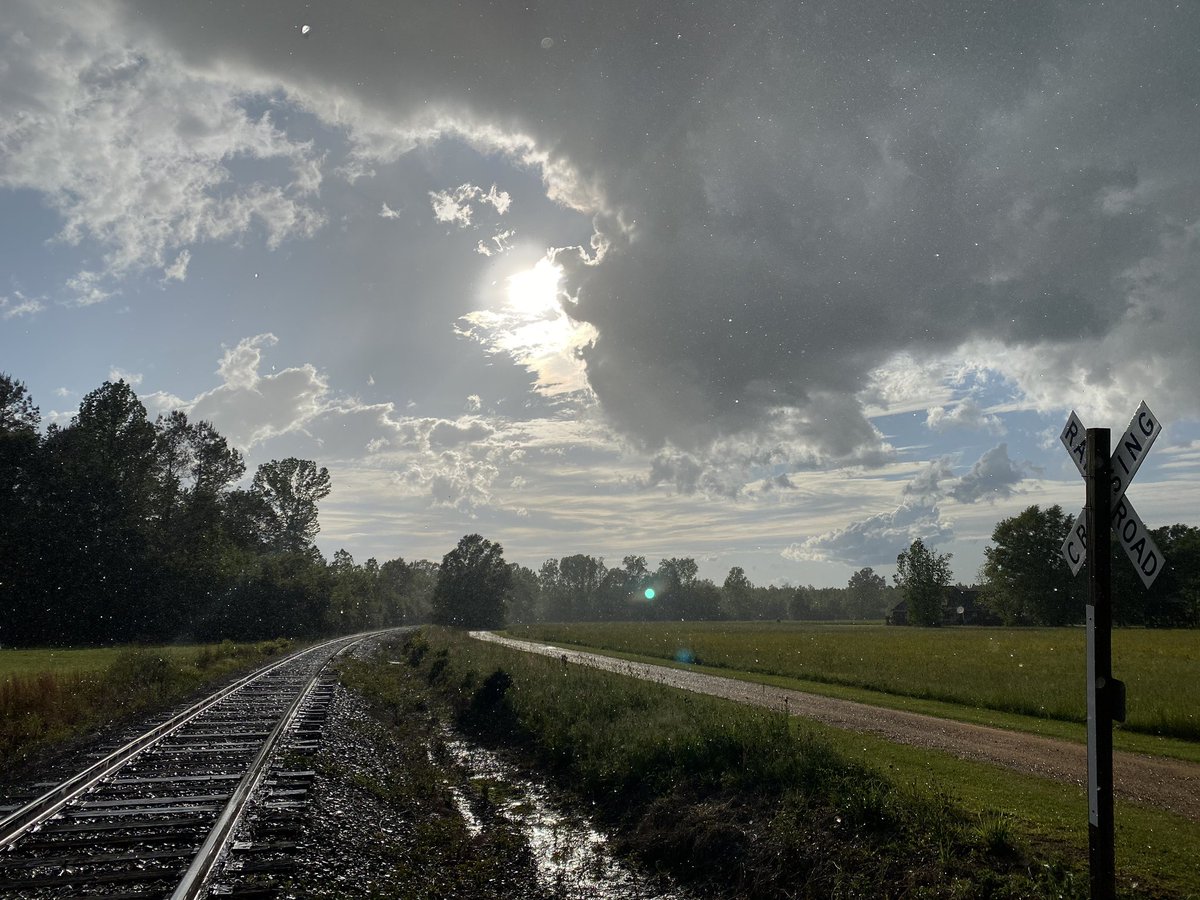 bellanewman's tweet photo. Rain coming down with the sun shining! #LamarCounty 
@spann @WCBIWEATHER https://t.co/y77dI5Zf15