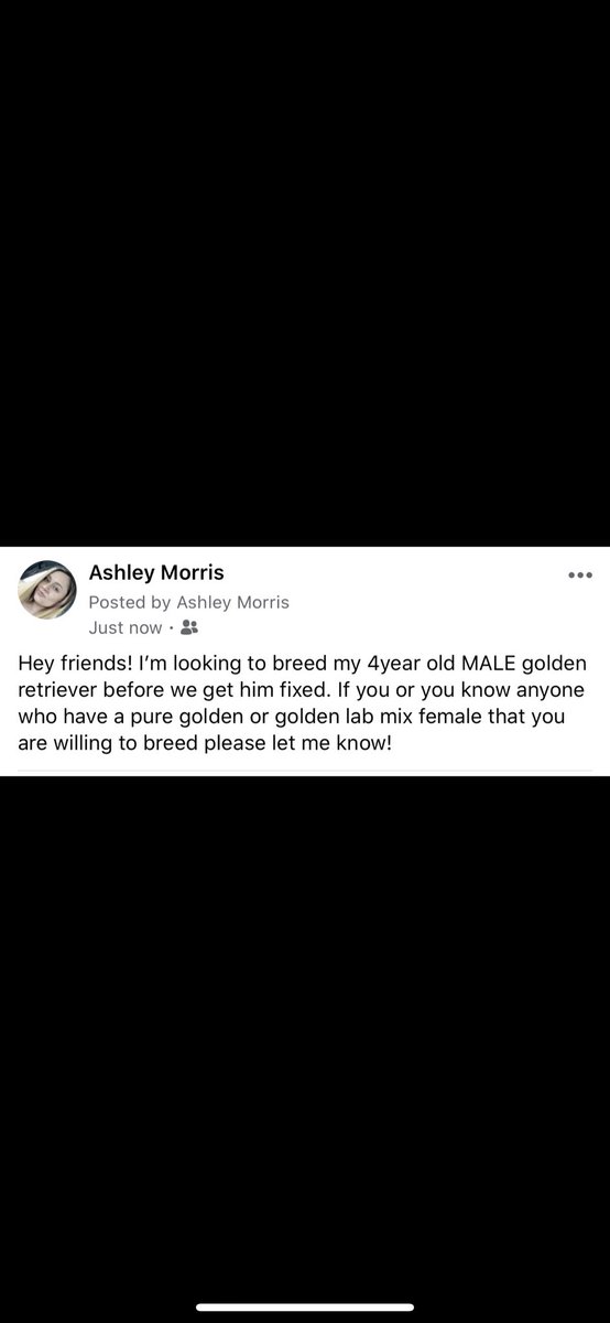 Ashley Morris tweet media