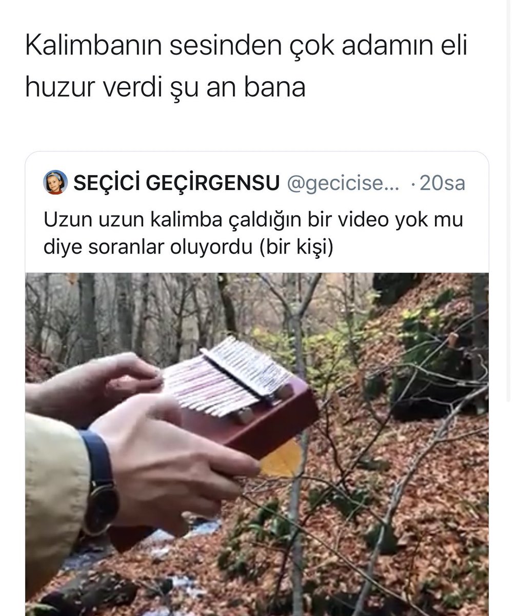Arkadaşlar elime adam eli dendiğinden beri kalimba çaldığım videolar atamıyorum