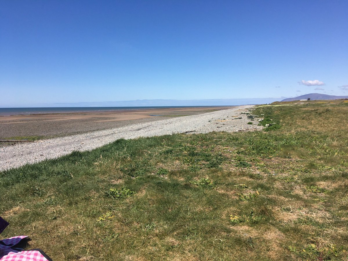 Joan Stark tweet media