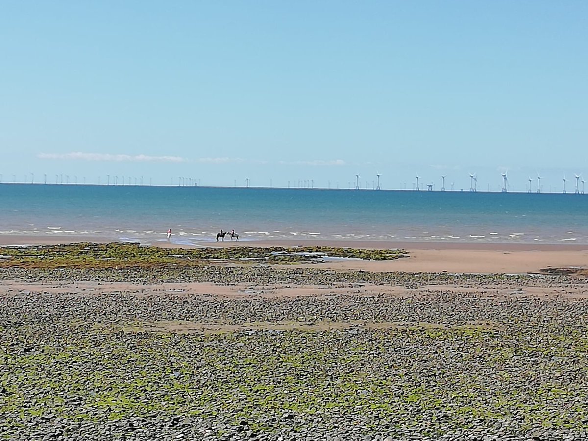 Joan Stark tweet media