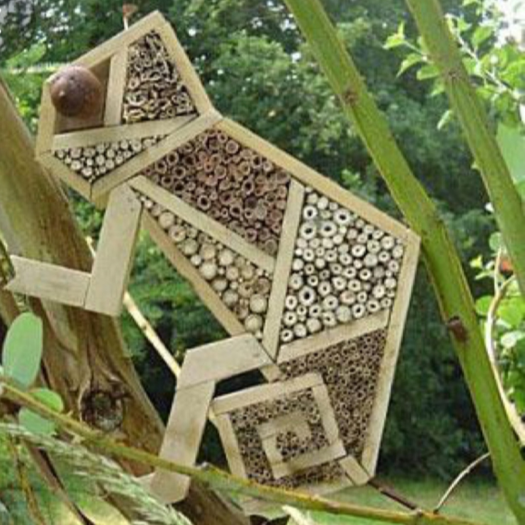 seed_ball's tweet photo. Insect Hotels
Looking for a fun activity in the garden get creative with insect hotels! Check Pinterest fro lots of inspo.
https://t.co/tRnl7cUBkA
https://t.co/pwcxGJVRjM
#insecthotels #bughotels https://t.co/oAC5eZgg5n