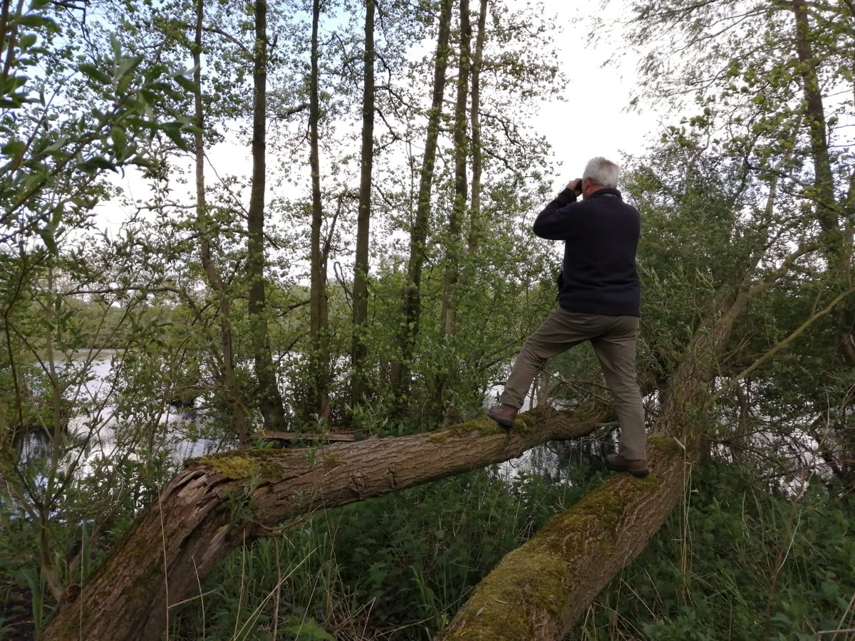 DavidStubbs59's tweet photo. @themarshtit @patrick_barkham @maddiemoate In my childhood - so long ago - my dad was too canny to waste film on me "fooling around" but here's one from this week going wild in the Wensum as I year-ticked common tern #whenIwaswild (#stillwild 😆) https://t.co/aWSyMOrm1L