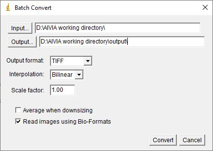 MascalchiP's tweet photo. How to convert multiple #microscopy images in one go?
Here is a quick tip to try on your own with #ImageJ or #Fiji:
https://t.co/3sXUk2DHsw

Any idea about another topic? Comment below...
#quicktipseries #bioimageanalysis #convertimages https://t.co/hoC049nbGf