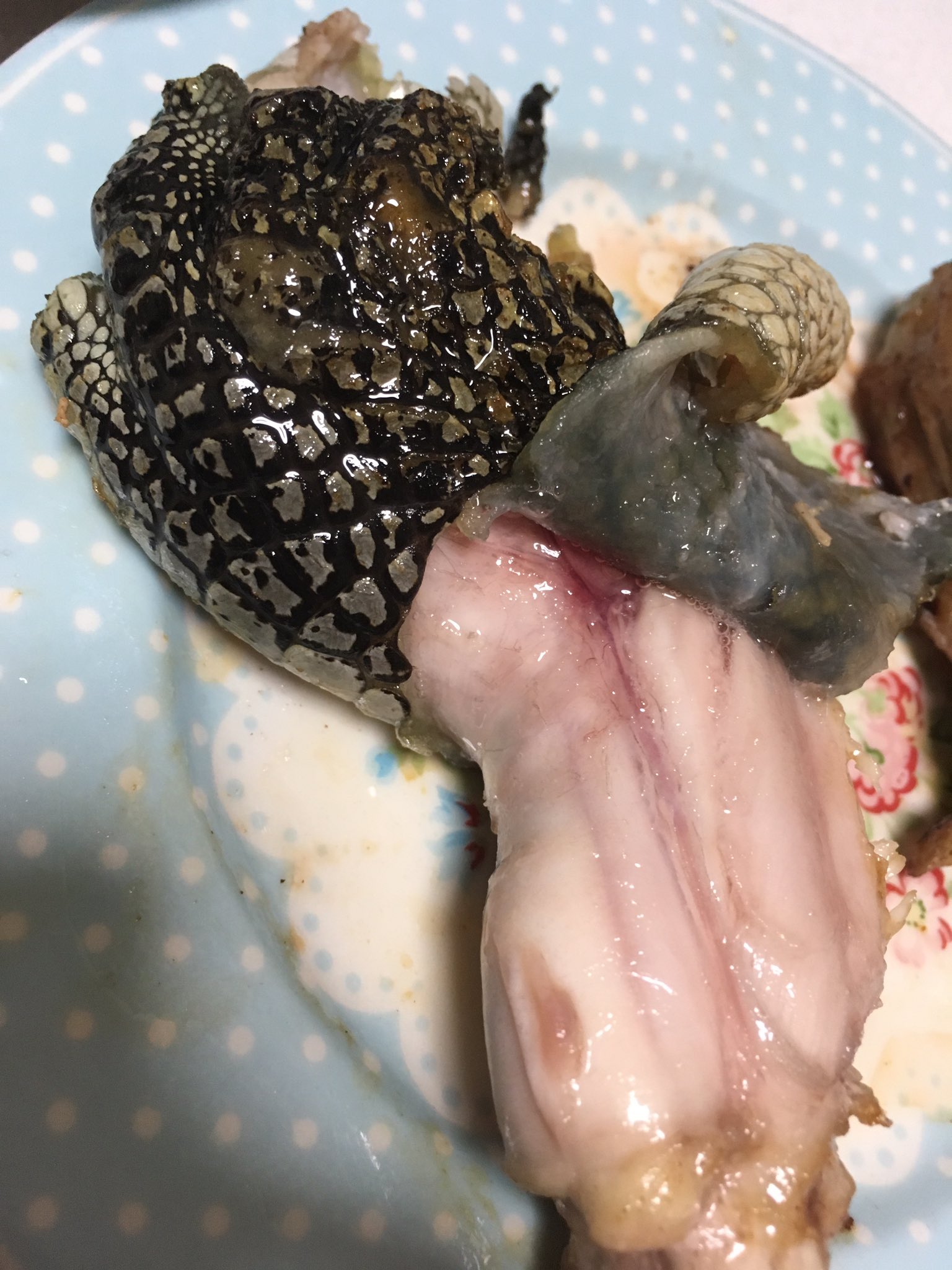しー 念願のワニ肉を食す事が出来た 味付けはシンプルに塩胡椒のみ 地鶏に似た味と噛み応えのある身の締まり 皮見たらわかるけど少しゼラチン質な感じもして美味しゅうございました D 皮は食べても大丈夫なのかわからなかった笑 ワニ肉