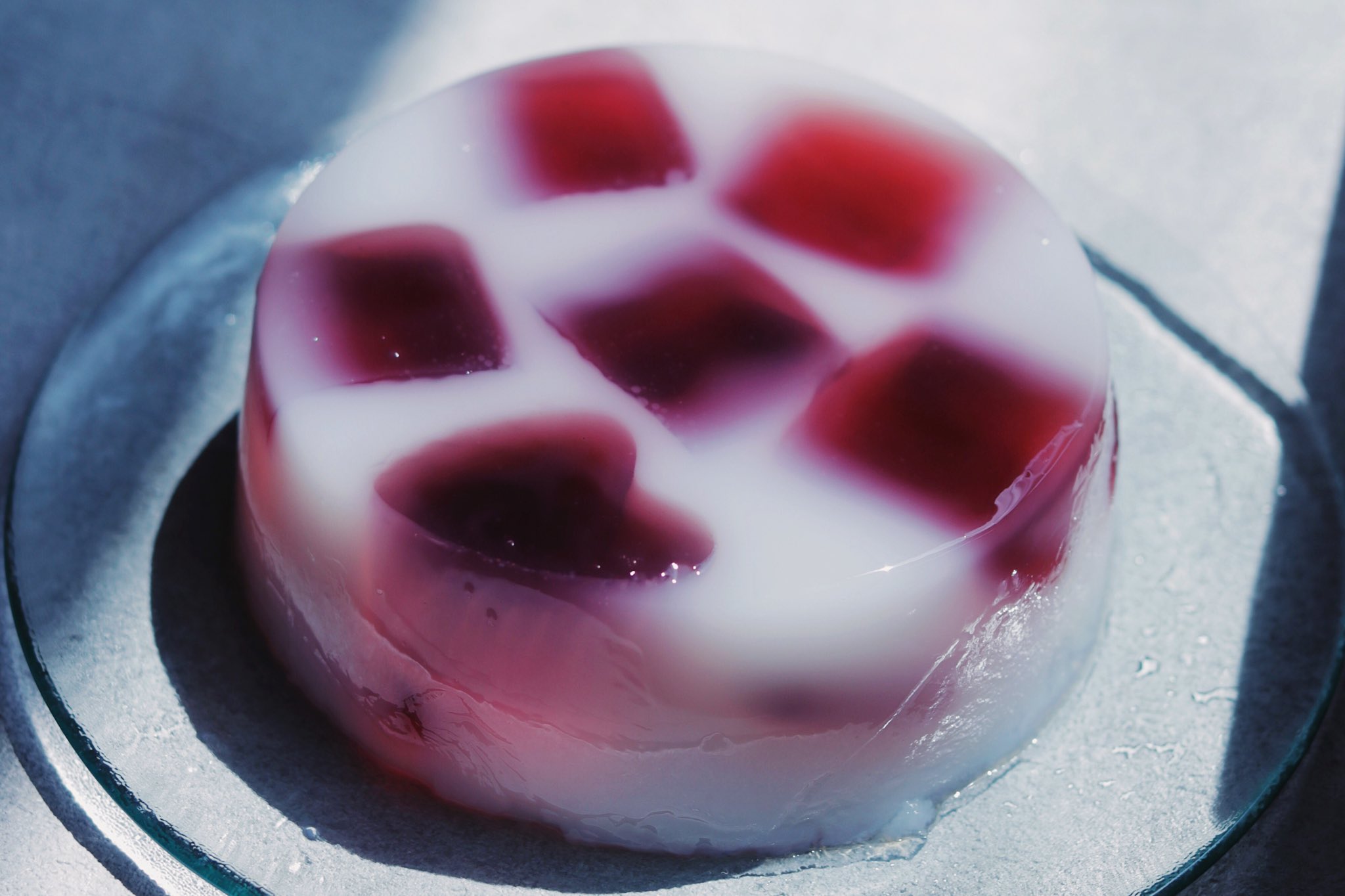 Tomei 透明愛好家 まるごと蒟蒻畑のカルピスゼリーケーキ こんにゃくゼリーを型にいれて ゼラチン溶かしたカルピスを入れて固めるだけでてきる夢のような食べ物