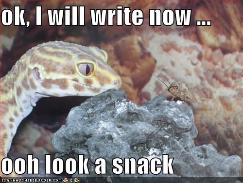 angelaschmeling's tweet photo. This is how my writing has been lately...how’s yours going #WritingCommunity? #iwillwrite #writers https://t.co/sMvupKa4rR
