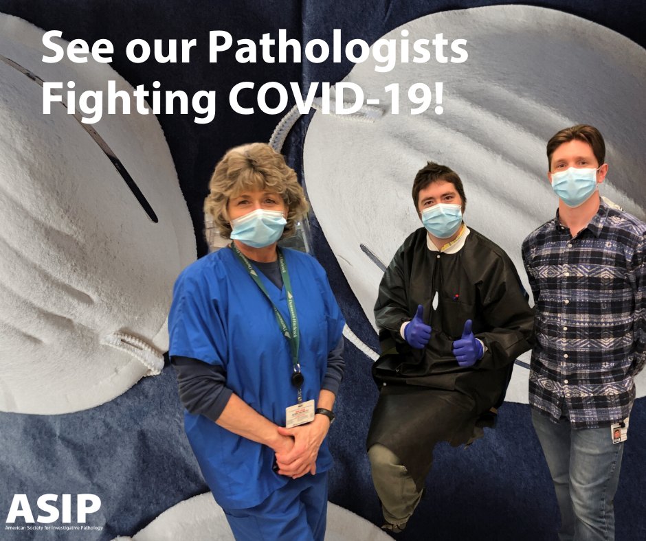 American Society for Investigative Pathology (@asipath) on Twitter photo Molecular Pathologists Fighting COVID-19 #PathologistsFightingCOVID19 | <a href="/DHMC_CGAT/">DHMC-CGAT</a> | <a href="/DartmouthHitch/">Dartmouth Health | Inactive</a> | <a href="/gtsonga/">Greg Tsongalis</a> conta.cc/3bvhGw4 Molecular Pathologists Fighting COVID-19 #PathologistsFightingCOVID19 | <a href="/DHMC_CGAT/">DHMC-CGAT</a> | <a href="/DartmouthHitch/">Dartmouth Health | Inactive</a> | <a href="/gtsonga/">Greg Tsongalis</a> conta.cc/3bvhGw4