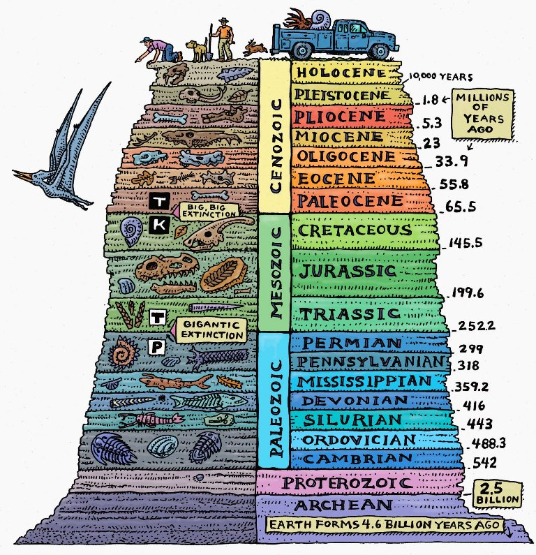 The same is true of evolution and deep geological time: the rate of speciation, from our perspective, is *very nearly zero*.That's why we can't use "common sense" to understand the natural world. It defies our common experiences to intuit from.