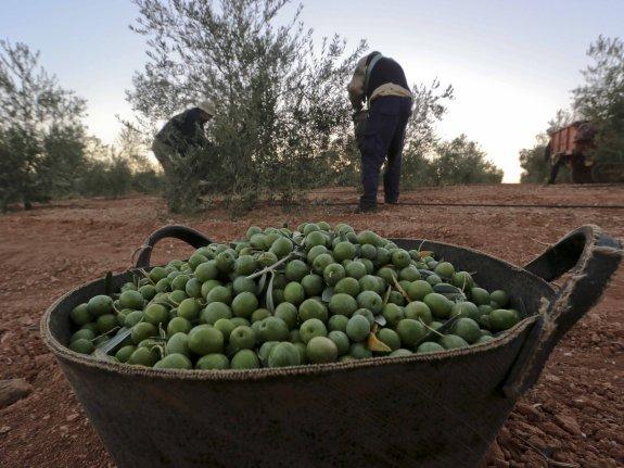 📡 Con la tecnología de ec2ce optimizas las tareas rutinarias de visitas a pie de campo.

Nuestras herramientas de I.A. permiten maximizar la productividad optimizando los recursos e insumos de la gestión agraria.👍

¿Hablamos? ‍Teléfono +34 649 111 679 ‍

#Aceituna #AOVE #Olivar
