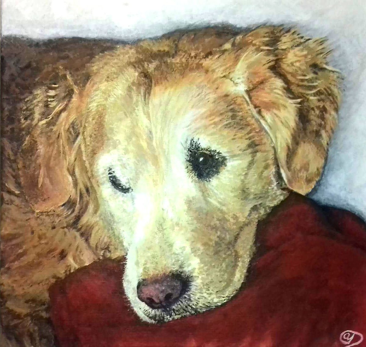AjdorningA's tweet photo. Pet portrait in acrylic on canvas. #petsofinstagram #petstagram #pets #petportraits #petpaintings #art #artworks #animalpainting #labrador #labradorretriever #artshare https://t.co/oepcj1dJ7t